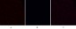 Cleaved-Caspase-9 p35 (D315) Polyclonal Antibody